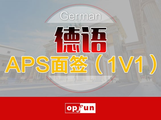 德语APS面签（1V1）